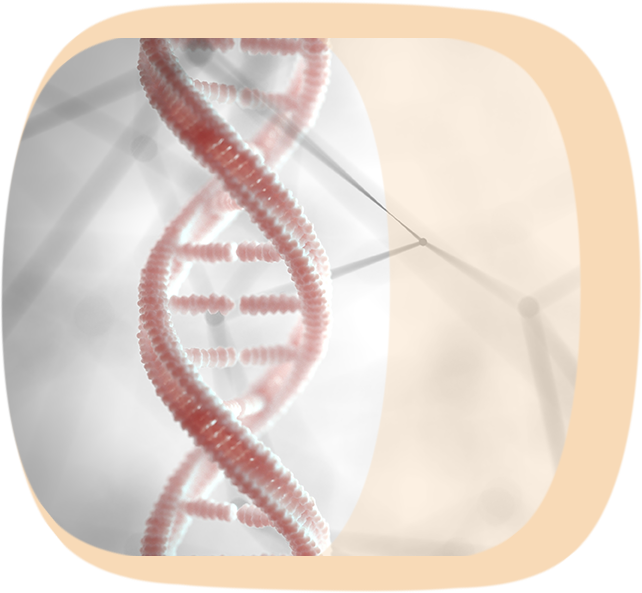 Nahaufnahme eines DNA-Strangs