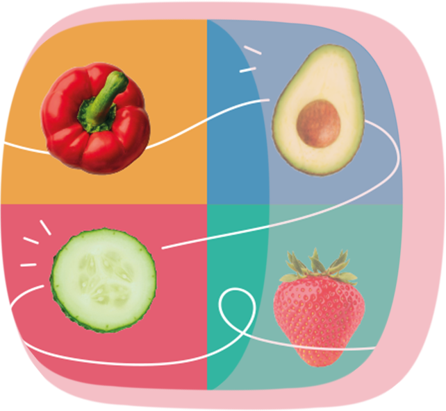 Teaserbild für den Download der Ernährungsbroschüre