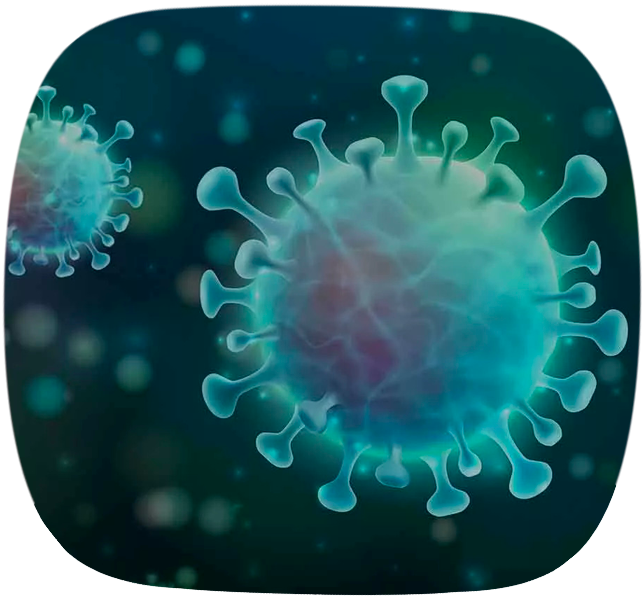 3D Darstellung des Coronavirus-Moleküls